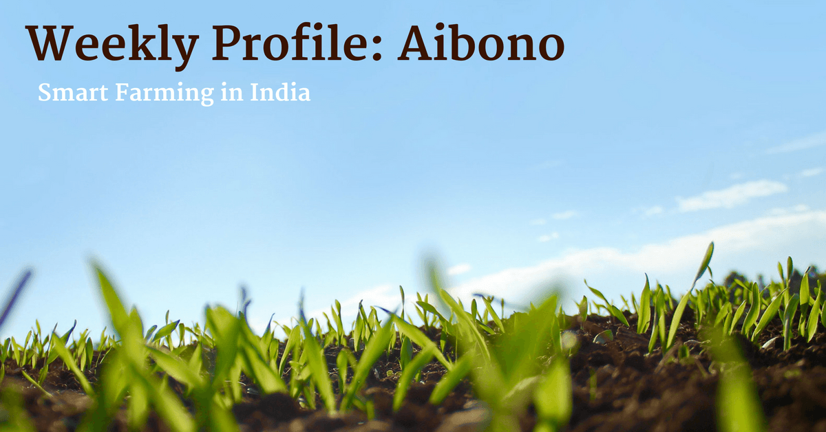 Weekly Profile: Aibono
